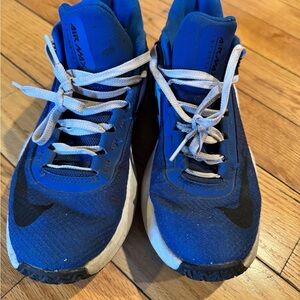 Nike Sneakers Blue Athletic Performance